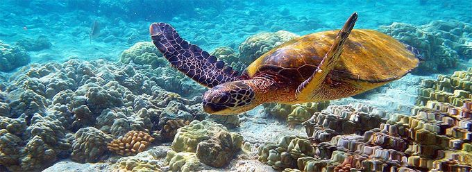 Galapagos - Ecuador