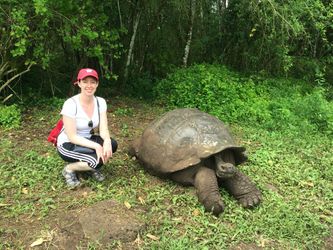 Galapagos - Ecuador - Mashipura Viajes