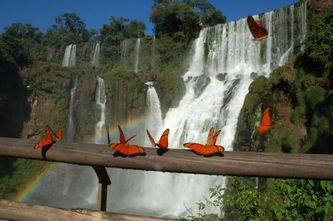 Iguazu'