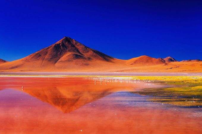 Laguna Colorada - Bolivia