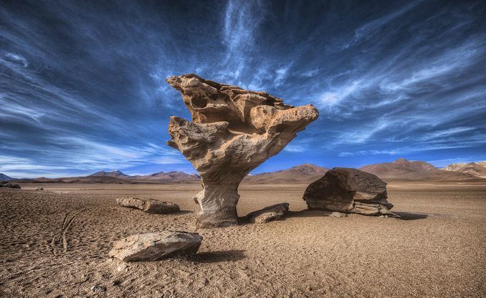 Arbol de Piedra - Bolivia - Tour Mashipura Viajes