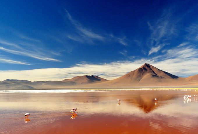 Laguna Colorada  Bolivia - Tour Mashipura Viajes