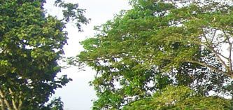Rio San Juan  Nicaragua