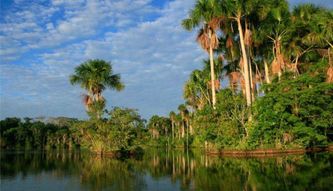 Tambopata  Perù