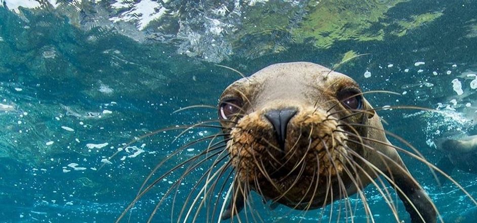 Tour Ecuador Galapagos Explorer - Agosto 2022