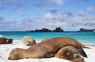 Galapagos - Mashipura Viajes