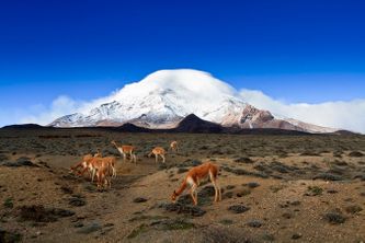 Chimborazo - Ecuador - Mashipura Viajes