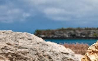 Galapagos - Ecuador - Mashipura Viajes